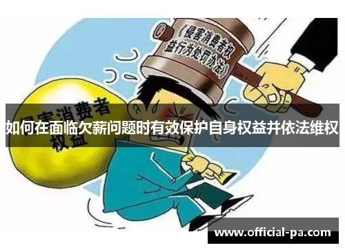 如何在面临欠薪问题时有效保护自身权益并依法维权 如何在面临欠薪问题时有效保护自身权益并依法维权