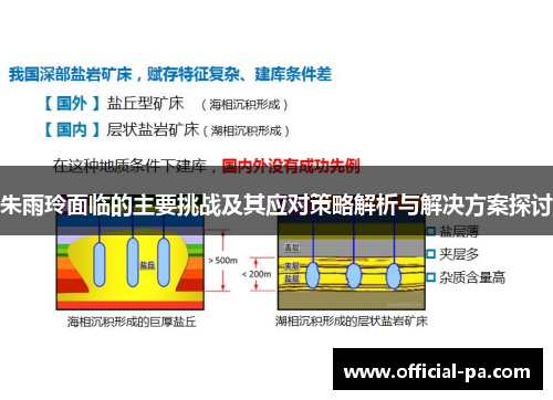 朱雨玲面临的主要挑战及其应对策略解析与解决方案探讨 朱雨玲面临的主要挑战及其应对策略解析与解决方案探讨