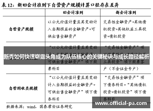 新秀如何快速崭露头角成为队伍核心的关键秘诀与成长路径解析